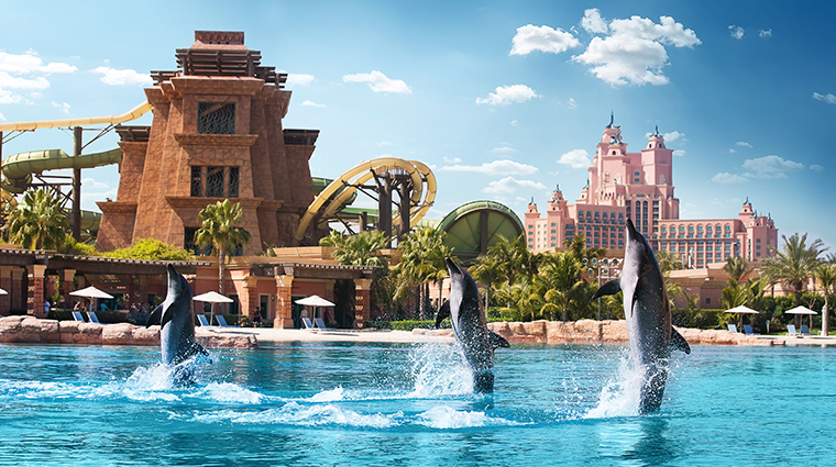 atlantis the palm dolphin bay